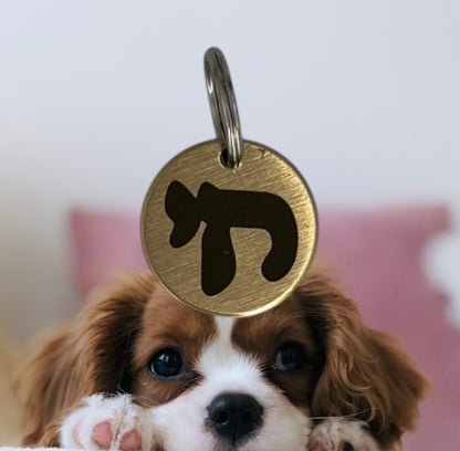 Médaillon pour chien